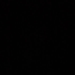 Meet your Posher, E i l e